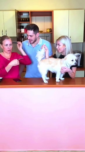 Scary and Funny Prank Compilation