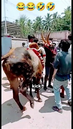 🐄 Why Cows Cause More Deaths Than Sharks 😳 #facts #shorts #viral