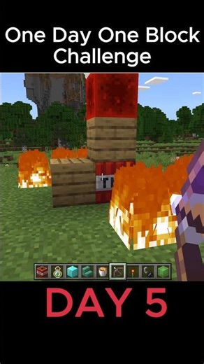 One Day One Block Challenge Day 5 #minecraft
