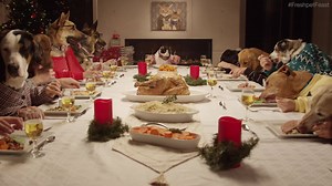 29K views · 360 reactions | It's all hands on deck for this holiday feast! Wishing you and your four-pawed crew a very Merry Christmas.  | Freshpet | Facebook
