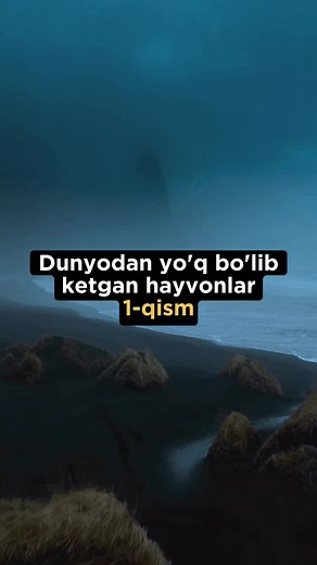 Qirilib ketgan hayvonlar🥺 Yo'qolib borayotgan hayvonlar..😥 Obuna bo'ling!✅ Yoqqan bo'lsa like bosing!❤️ #ajoyibgoogle #extinct #animals #saveanimals #nature #like #rek #viral #top #video #fyp #xyzcba #tiktok #uzbekistan