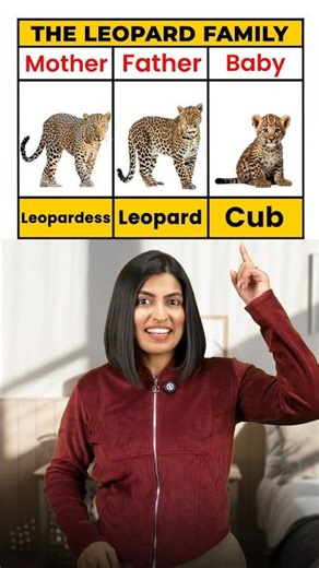 Animal Families - Mother, Father & Baby Animal Names 🐾 | English Connection Kanchan #shorts