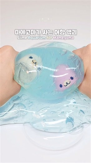 🫧 퐁글탱글 액괴 어항에 사는 마메고마들 ˚₊‧🪸 #액괴 #slime #마메고마 #어항