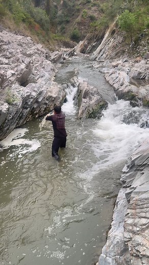 446K views · 2.8K reactions | Net Fishing with Hamza on Reels | Facebook