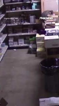 PARTY ANIMAL: Newly released video shows the raccoon that broke into a closed liquor store #shorts