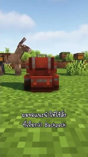 แก้ปัญหาพกของไม่พอด้วยวิธีนี้