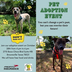 Pronto Insurance is teaming up with Brownsville Animal Defense - BAD to host an adoption event to help rescue dogs & cats find a fur-ever home. Saturday, October 28th, 2023 From 4 pm to 6 pm 2715 Boca Chica Blvd Suite # 1B Brownsville Texas 78521 www.brownsvilleanimaldefense.org www.prontoinsurance.com | Pronto Insurance