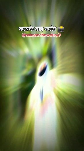 Beautiful Honey Flower Photography Tips