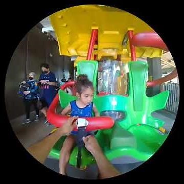 Jurrasic park canopy Flyer Universal studios Singapore