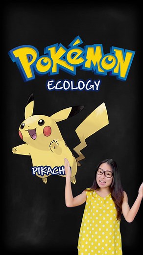 Exploring the Role of Tree Shrews in Pokemon Ecology