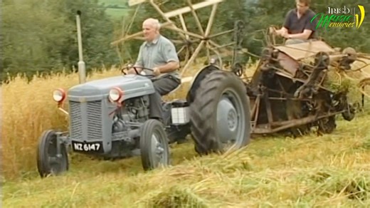 154K views · 2.2K reactions | Brian Coll - The Old Bog Road For great Country Music 24 hours a day tune in to: KelticCountry.com Sponsor: GaelicArt.com | Irish Music Memories | Facebook