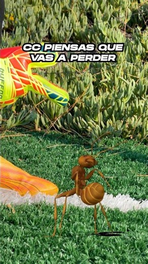 SOMEONE DECIDED NOT TO BE BY MY SIDE 🐜 ⚽️ #football