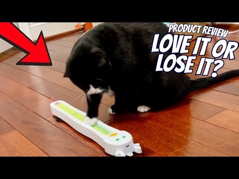 Automatic Door/Wall Hanging String Toy|Get Questions Answered About This Fun Automatic Cat Toy!
