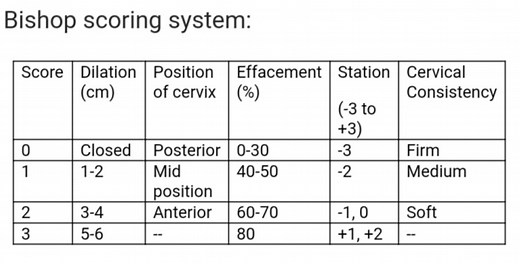 What Happens At My 36 Week Visit? – A Midwife Nation