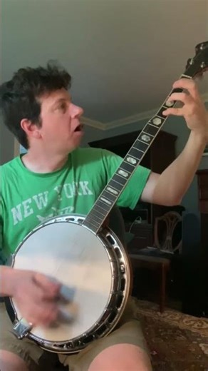 Gojira "Flying Whales" on a banjo