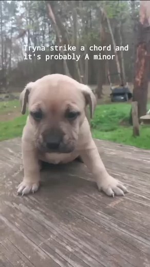 Brad Chambers on Reels