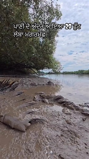 Nanak Singh on Instagram: "#flood #punjab"