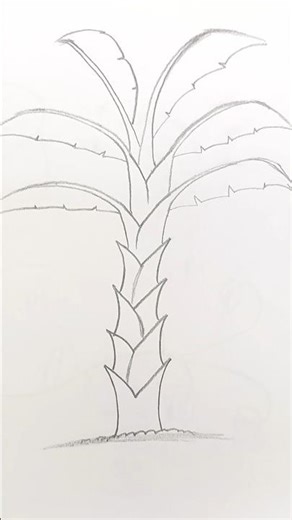 Banana Tree Drawing ✨️#technique #drawing #art #pencildrawing #shorts