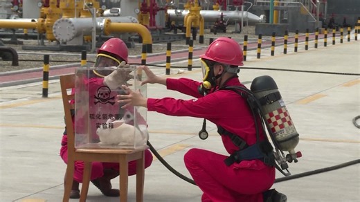 活体实验告诉你硫化氢多恐怖