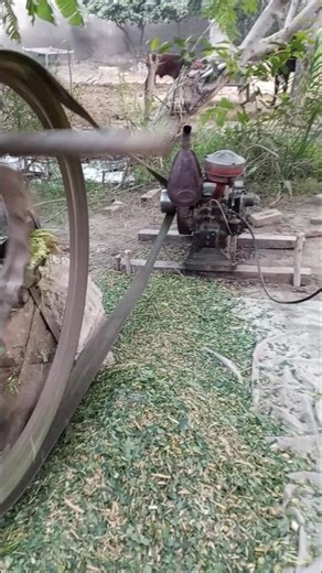 diesel engine starting with token machine #shorts #shortsviral