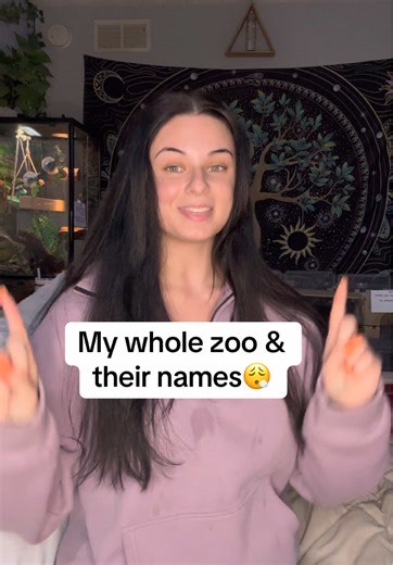 Exploring My Whole Zoo: Fun Animal Moments