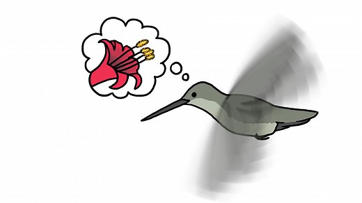 Flowers and pollination | Britannica