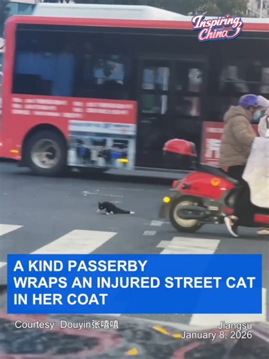 In #China’s Jiangsu province, a small act of kindness captured the hearts of Chinese netizens. A young woman spotted an injured stray cat on the street and stopped to wrap it in her own coat. The cat later did not survive its injuries, but many commenters praised the gesture, saying they were glad the cat’s final moments were spent in warmth. #InspiringChina