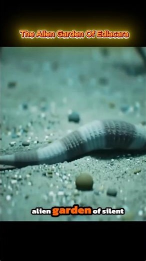 The Alien Garden of Ediacara.