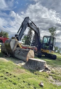 12M views · 136K reactions | Storm clean up and getting logs for the mill | The Dusty Lumber Co. | Facebook