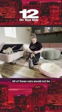 Cat cafes, chromotherapy and pumpkin delivery: Here’s what’s new in RVA this September