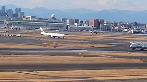 ANAの緑塗装初めてみたー！ 東京羽田空港凄すぎるー！常に飛行機飛んでるし着陸してる。 #飛行機#ana #離陸 #羽田空港