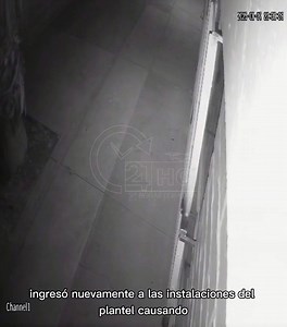 29K views · 332 reactions | Ladrones operan sin control en Parras;...