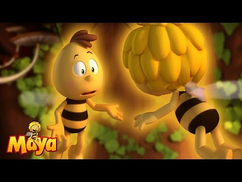 👑 The lost Queen Bee?! Maya must hurry! - Maya the Bee🐝🍯🐝 - FULL COMPILATION
