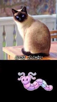 Manson's Diphyllobothrium song #Shorts #cat #originalsong #sunoai