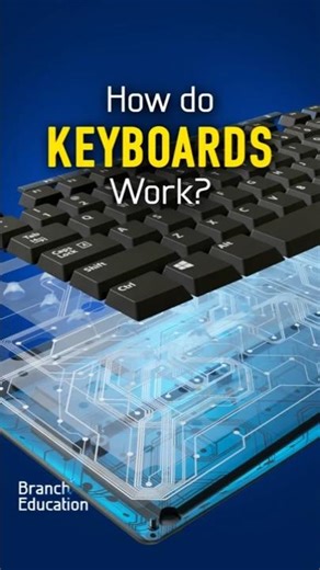 How does an Everyday Keyboard Work? ⌨️🤔 #keyboard #pcbuild