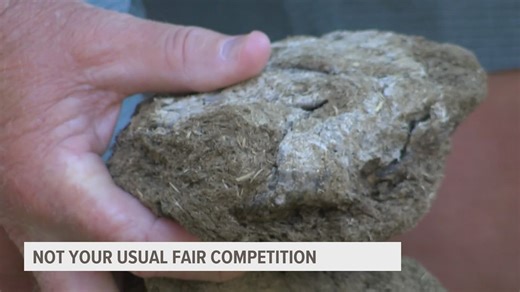 A race to the top from the bottom: Iowa State Fair's cow chip throwing contest