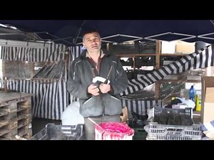 How to graft walnut trees - waxing the graftings