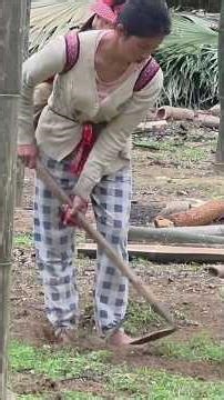 Building a Bamboo House Step by Step| Construction in Progress#BambooHouse #Construction#EcoFriendly