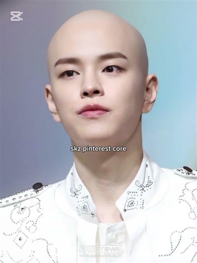 Pin stays are on something fr 😔 #straykids #music #kpop