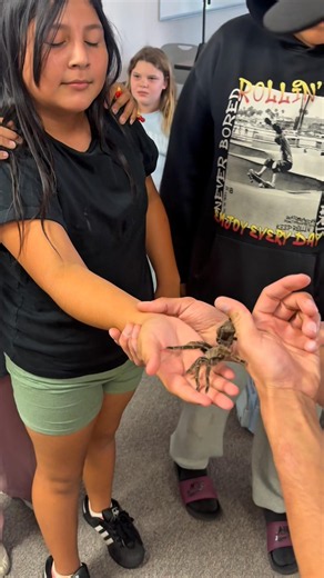 Meet Palm! My Curly Hair Tarantula