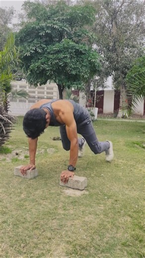 sapate | Aesthetic Push Ups Flow 💪 | Clean Form Bodyweight Strength #pushups #aestheticfitness