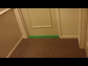 Neighbors playing Caramelldansen at 3am