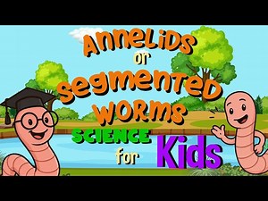 Annelids or Segmented Worms | Science for Kids - Videos For Kids