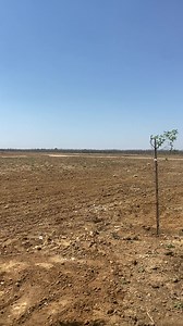 [VIDEO] Steve Tshwete Local Municipality allocated 5 hectares of land to Mafube Coal who constructed the cemetery worth the value of R13 million. The cemetery was identified as a critical need through the STLM Integrated Development Plan engagements with the community of Ward 7 and 9. Through engagements with communities and the Municipality, Mafube Coal Mine committed to construct the cemetery as a Social Labour Plan (SLP) project during the 2019-2023 cycle. Sikhululiwe village residents will n