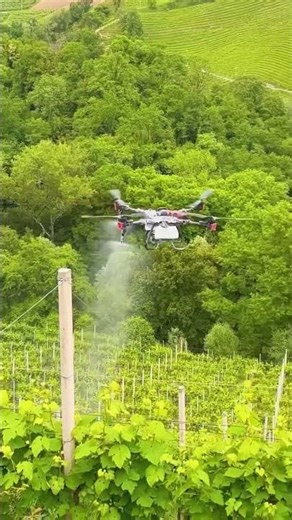 Το μέλλον του ψεκασμού στους αμπελώνες 🚿🍇🤖 #vineyards #drone