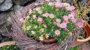 Geschichte der Kernenergie (zivil und militärisch)