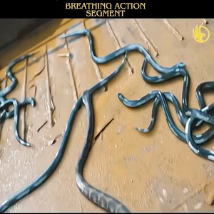 464K views · 1.9K reactions | Best movies on netflix of 2024 | Sophia Adventure | Facebook