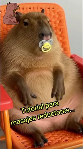 Desayuno delicioso con capibaras tiernas