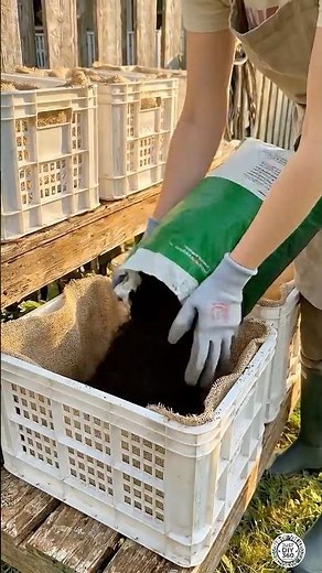 DIY Organic Lettuce Crate Planters – Backyard Garden Setup #lettuce #organic #crate #backyardgarden