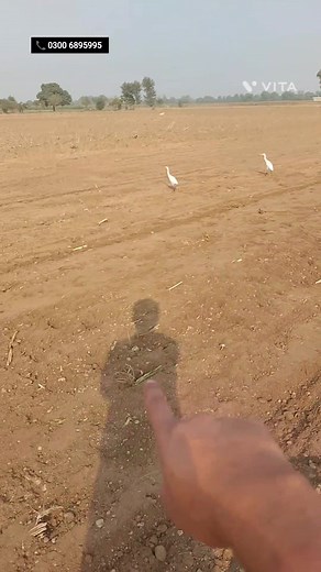 4.8K views · 66 reactions | agriculture #farmingvideos...